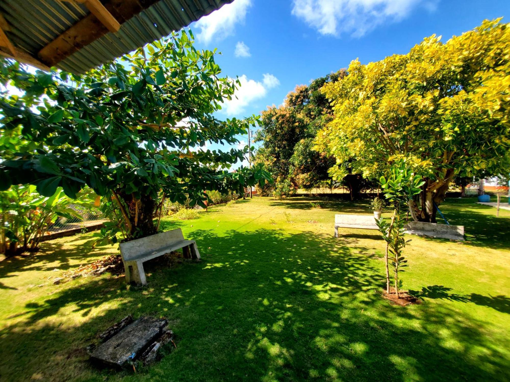 The Little Dream House Appartement Little Corn Island Buitenkant foto