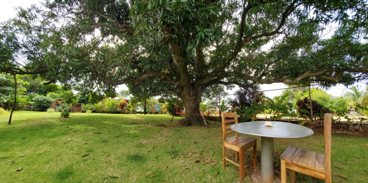 The Little Dream House Appartement Little Corn Island Buitenkant foto